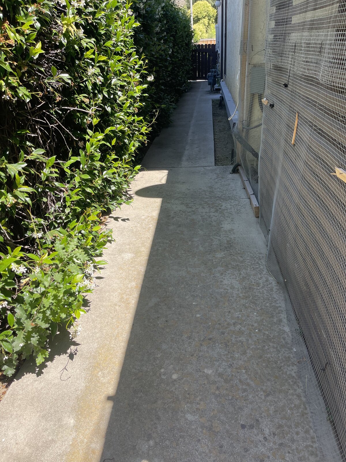 Concrete and brick cleaning -9
