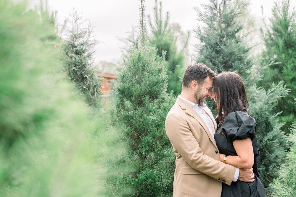 Tree Farm-Orange County Holiday Mini Session-099