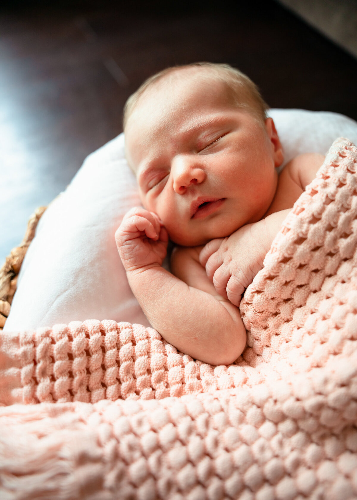 Birth Story Studio Minneapolis St. Paul Maple Grove Twin Cities Minnesota Newborn Maternity Birth Family Photography Photographer Stephanie Lecker - WEB