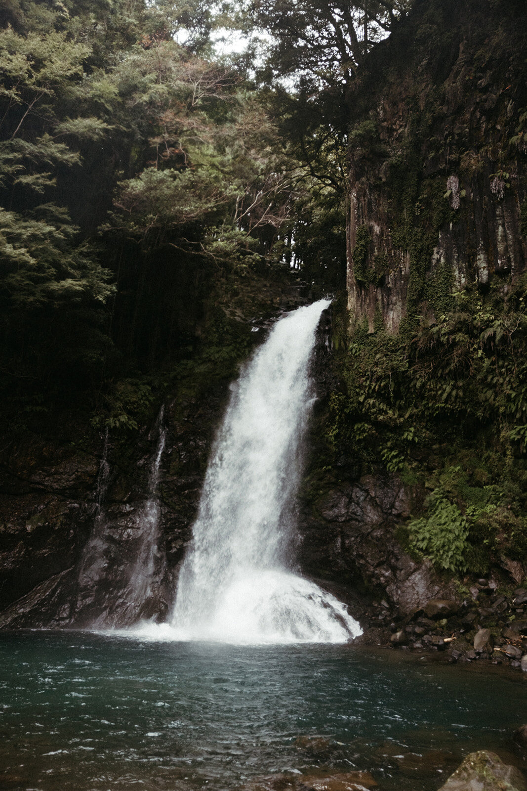 JapanElopement-DallinHazard-330