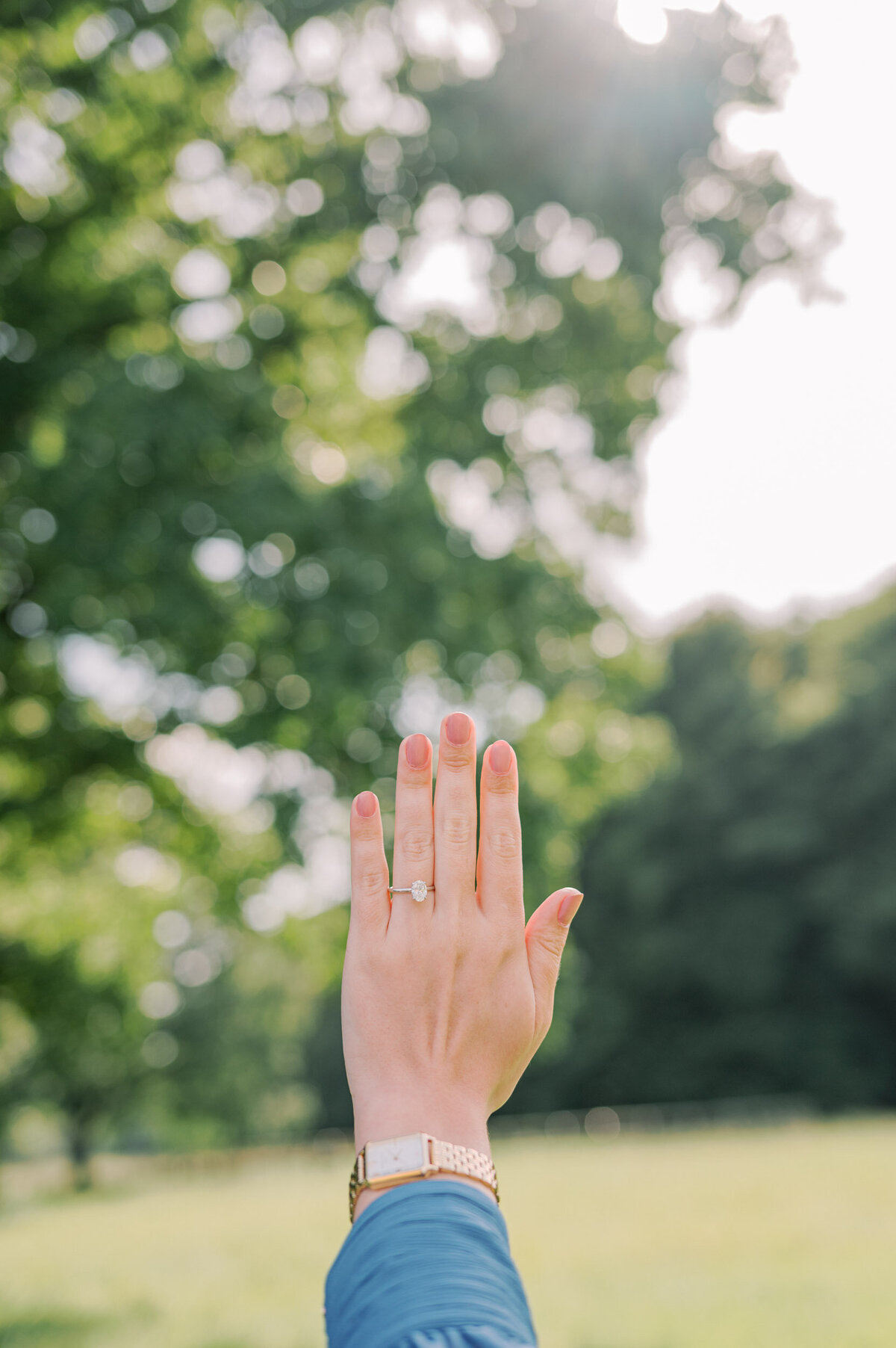 marriage-proposal-amsterdam-picknick-71