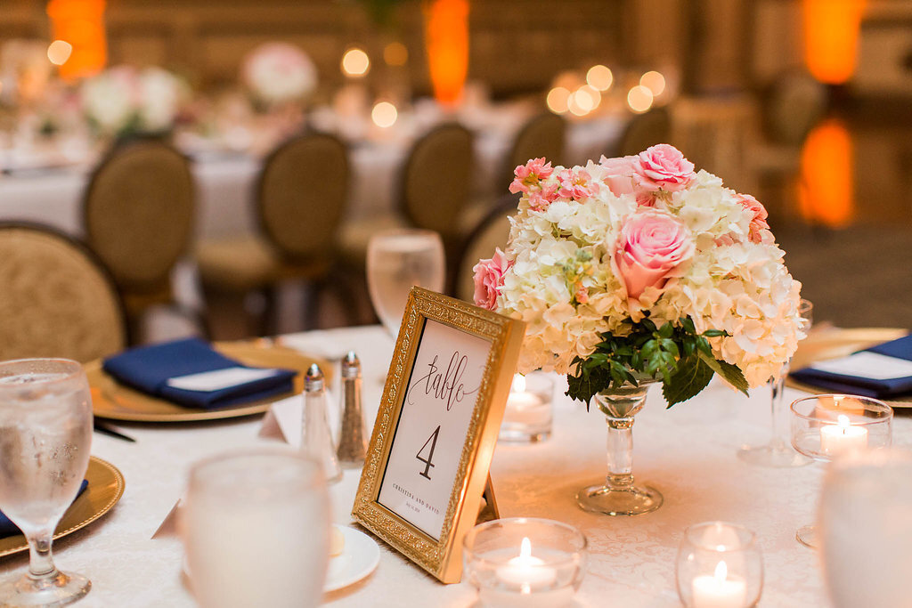 David&Christina444