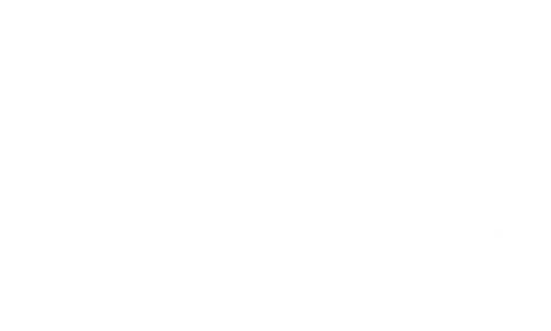 logo-thecondorapproach