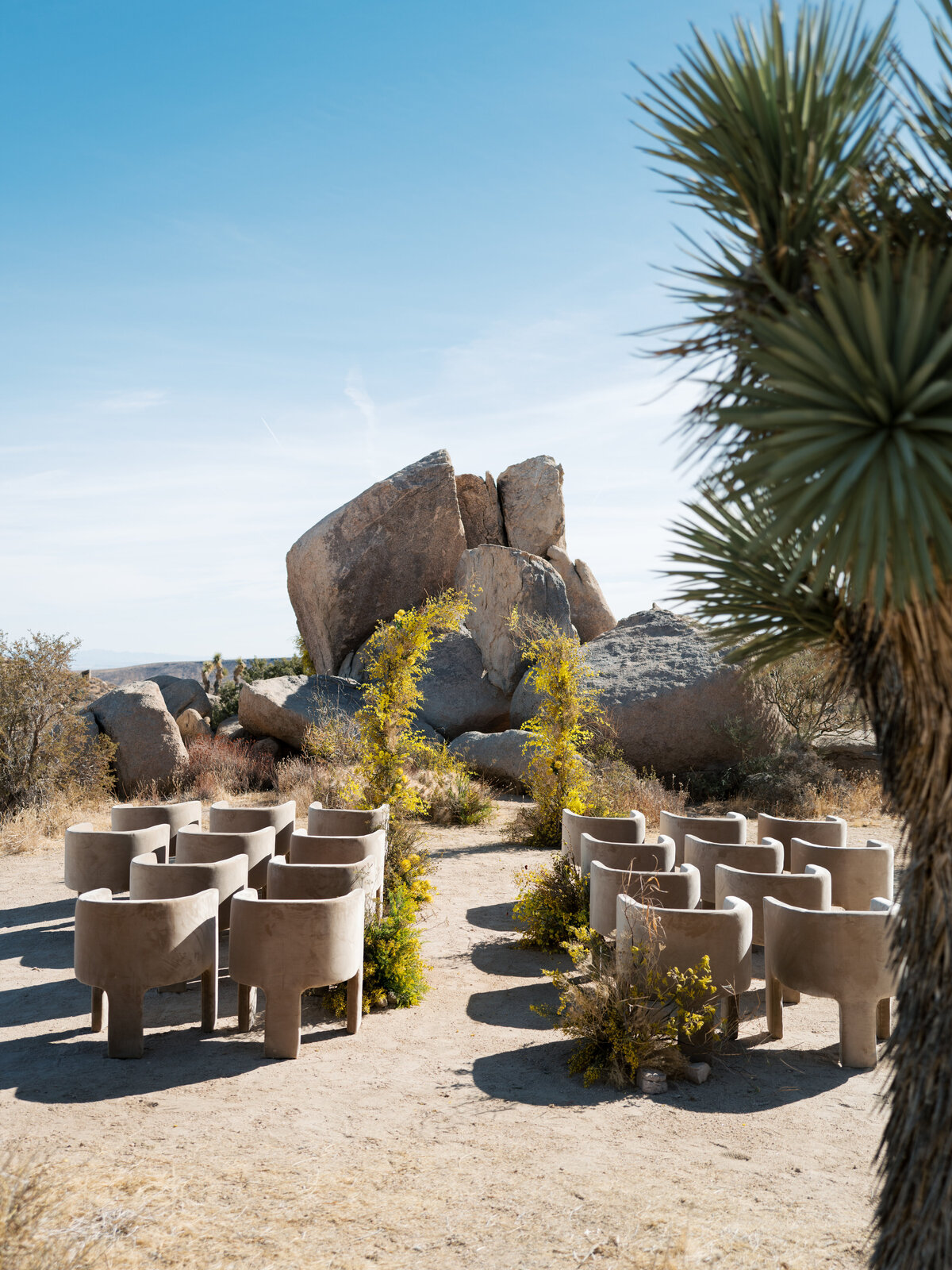 joshua-tree-ruth-yang-photo-23