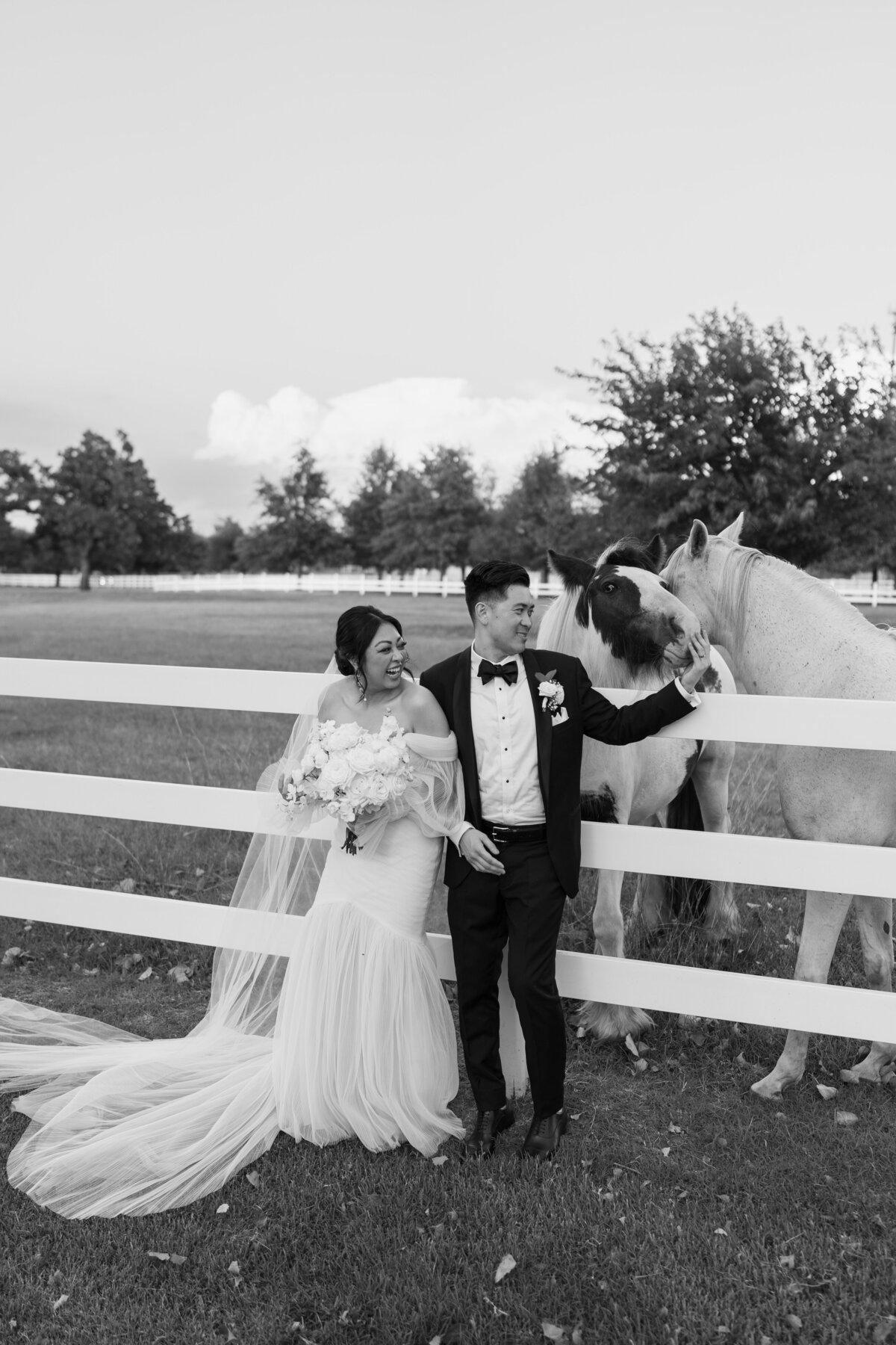 Oklahoma wedding couple posing with a horse at Aspen Ranch wedding venue.