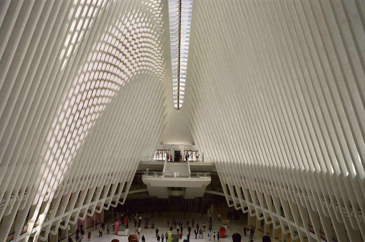 kodak_professional_portra_400_06_20_2024_000343950028