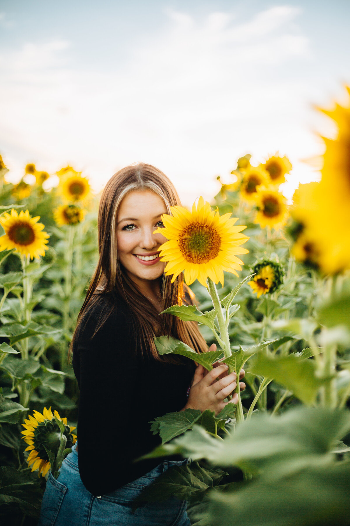 Alexi poses with a sunflower for her Montrose senior pictures.