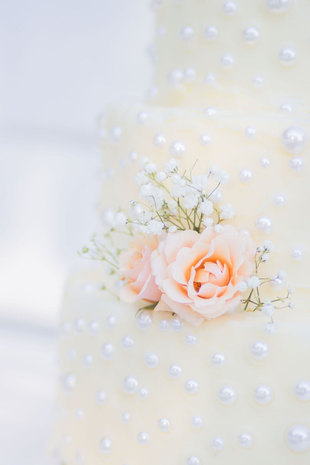 louisiana wedding photographer IMG_3127