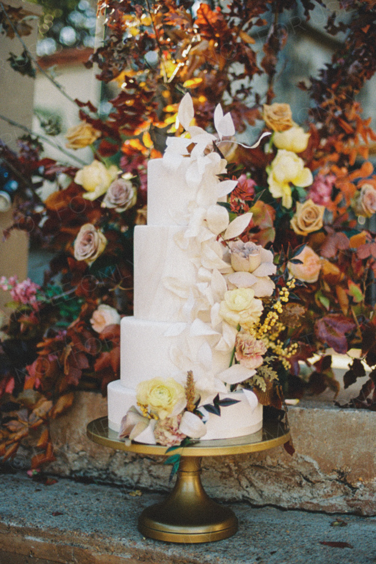 DO-NOT-USE-The-Photo-Editor-s-Guide-Katie-Rivera-EXAMPLE-PHOTO-4