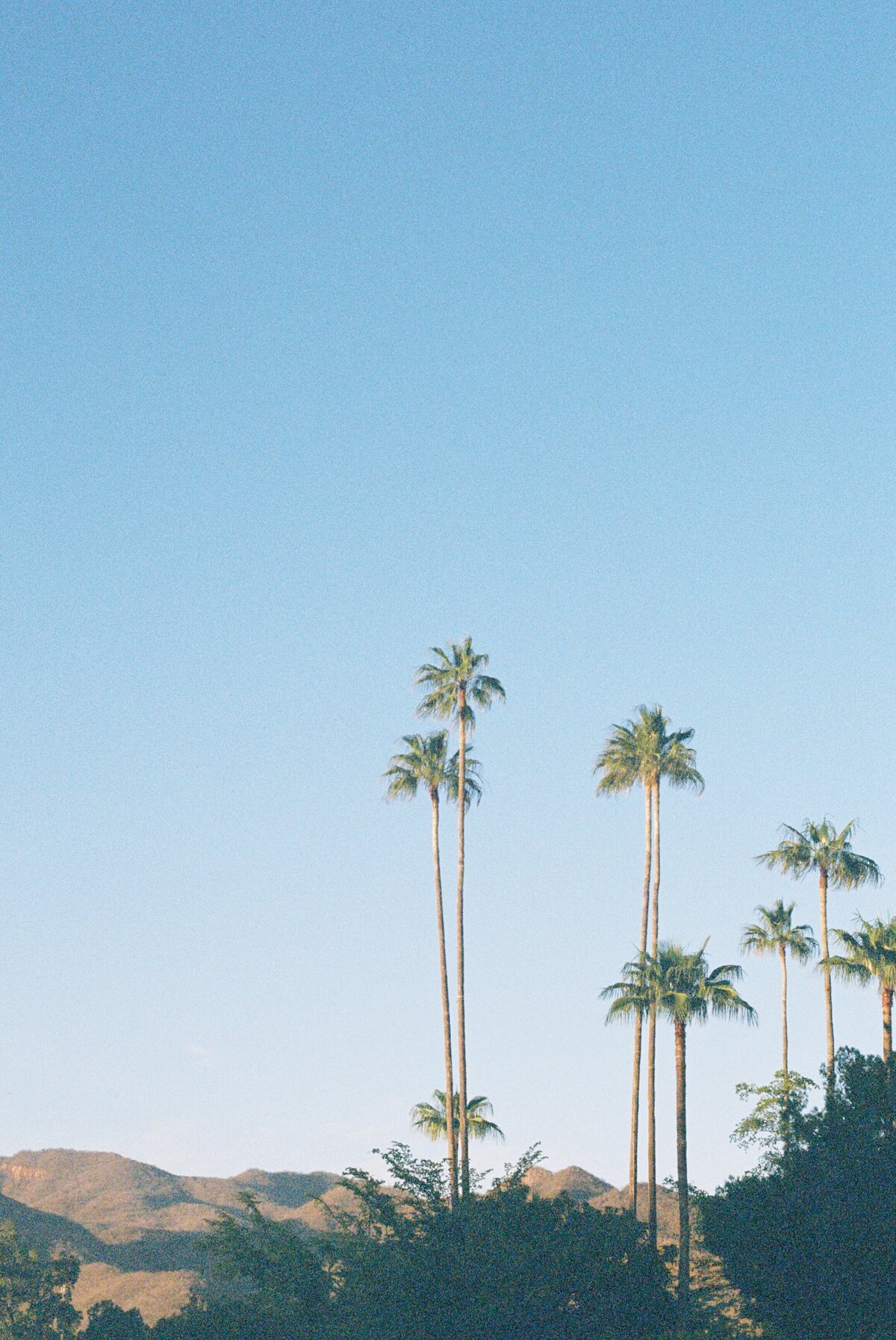 Alamosedit9