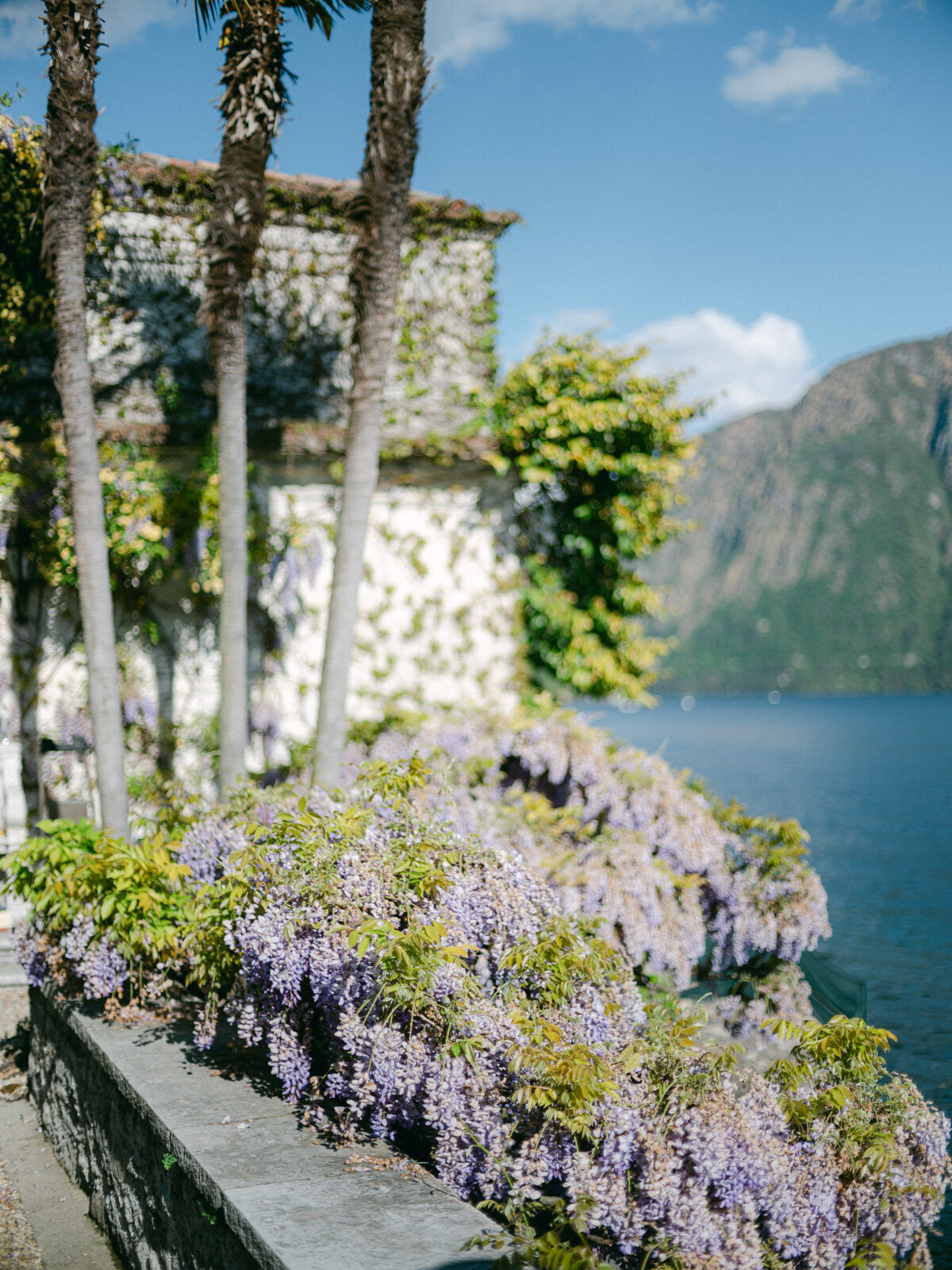 Villa Balbiano Editorial (100 sur 176)