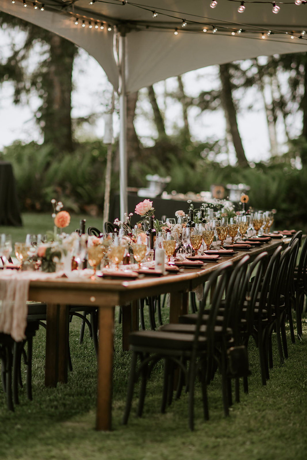Paige-Jesse-Wedding-500