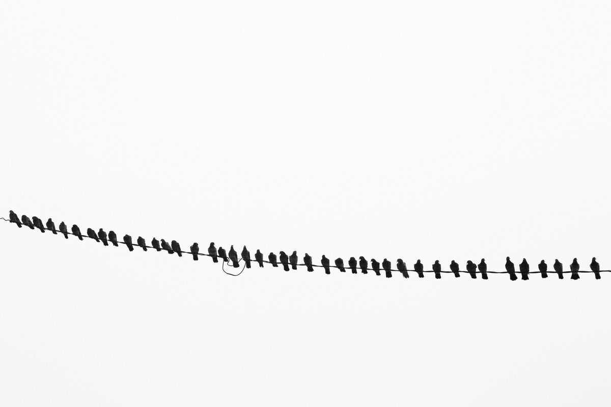 20141231_LONG_BEACH_ISLAND_0037_01bw