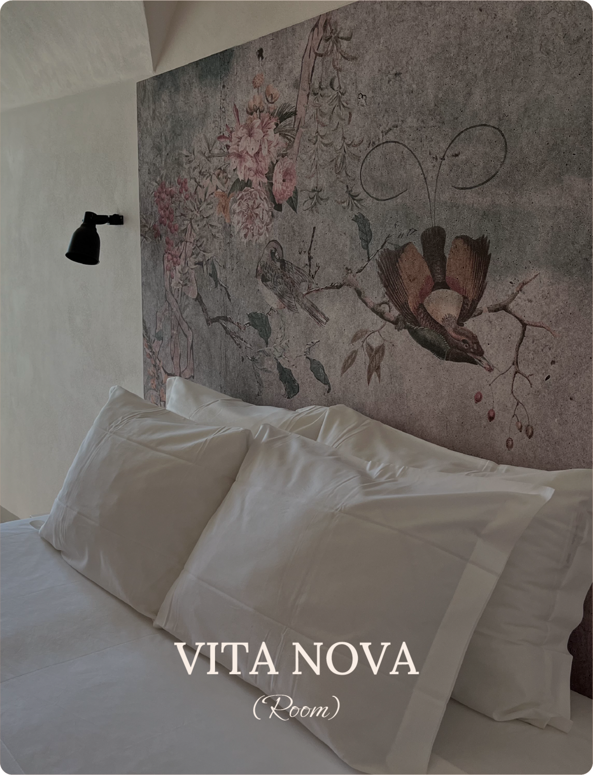 Dimora di Dante_Vita Nova-02