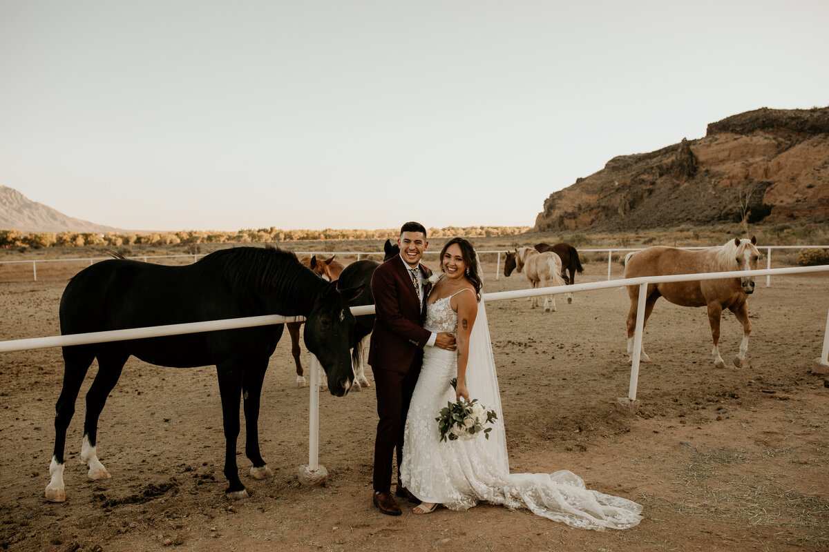 bride and groom standing in front of rescue horses in Albuquerque