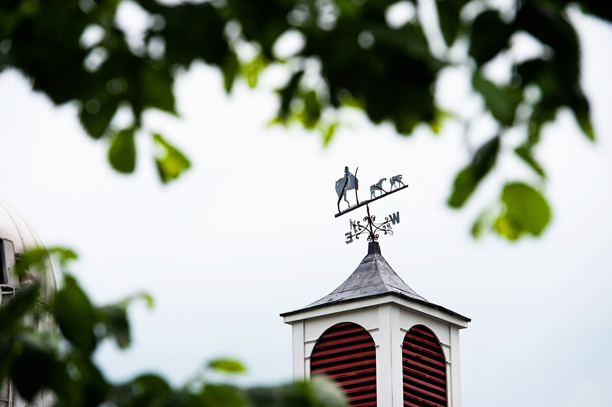 MagnoliaBluebird_GoodstoneInn_Wedding00009