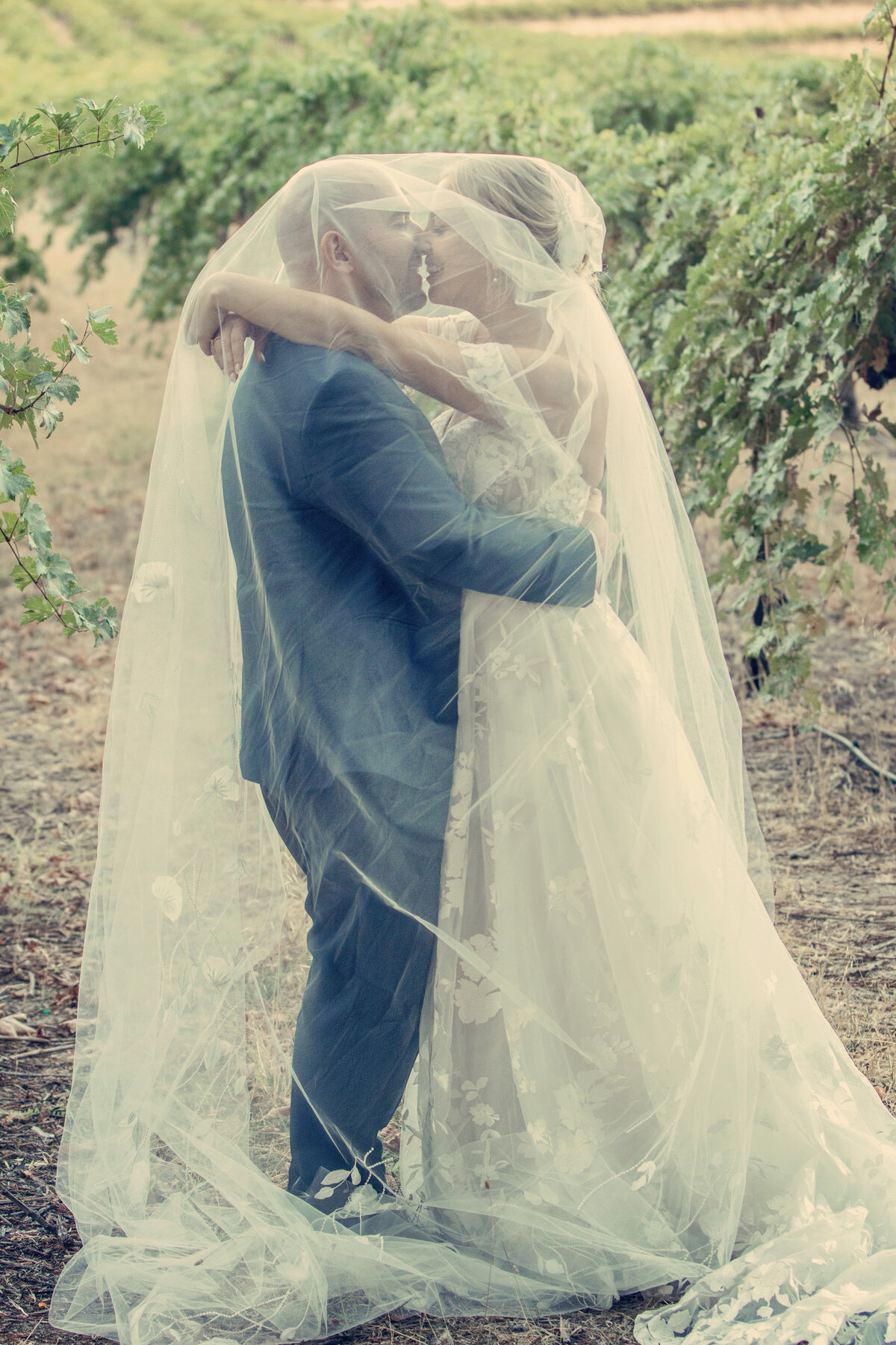 bride and groom Nelson Family Vineyard