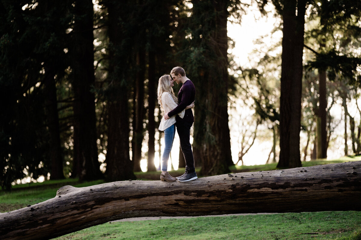 Lincoln Park trees and meadows make it one of the best spots for engagement photos in Seattle