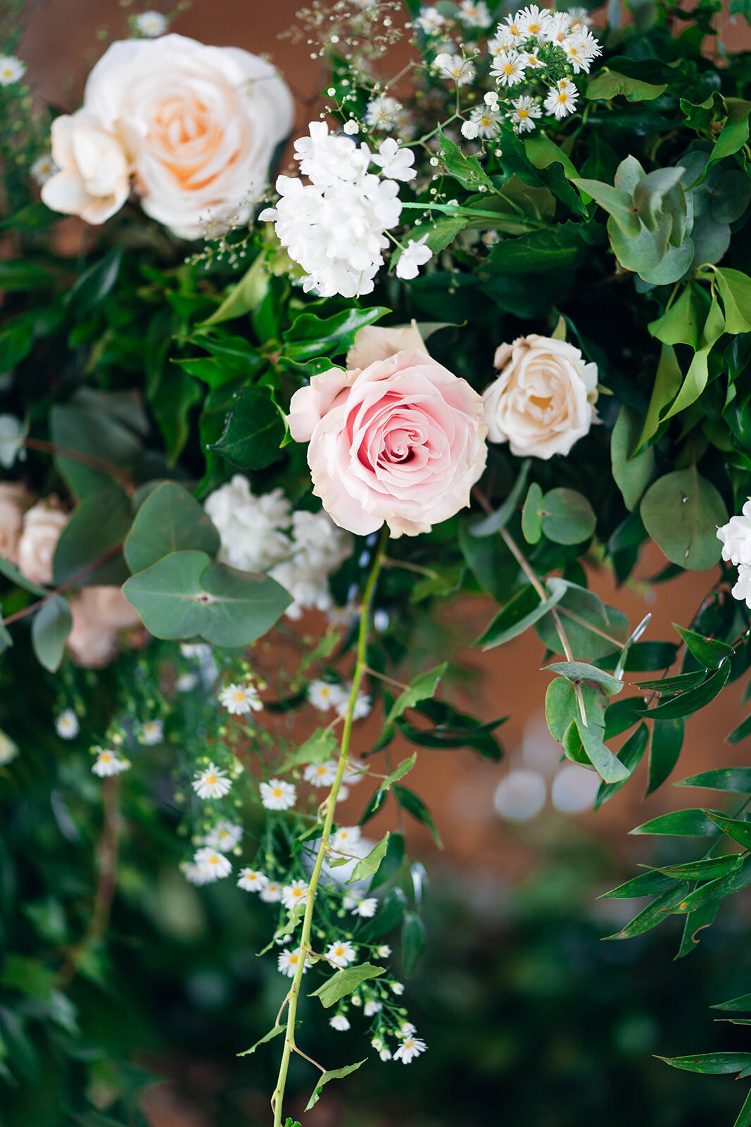 EmilyCollettPhotography0022