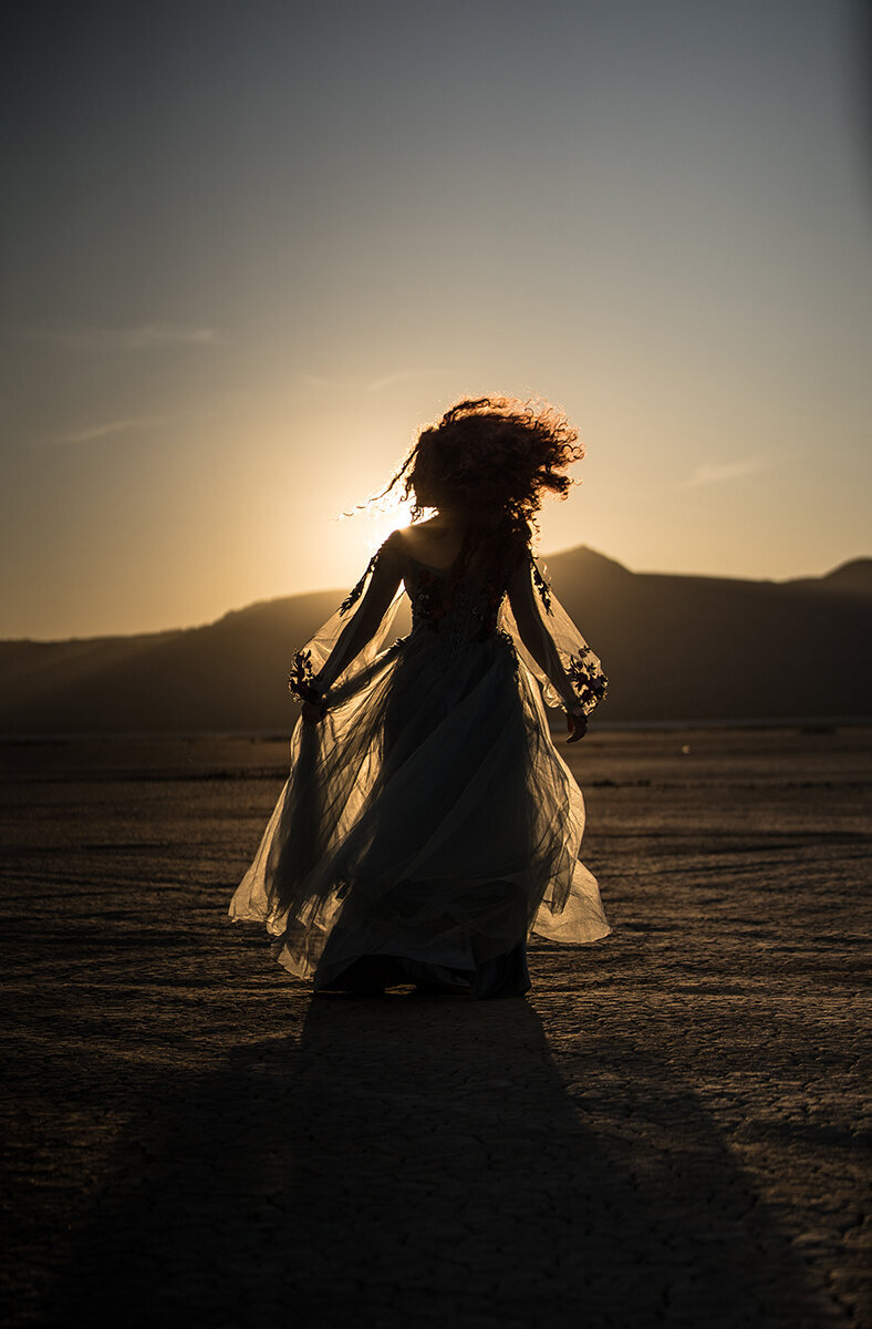 DESERT-MERIDA-BRAVE-SILHOUETTE-SUNSET-LOWRES
