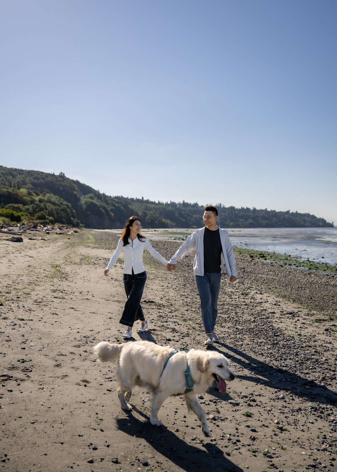 engaged couple walk on beach in front of puget sound with dog