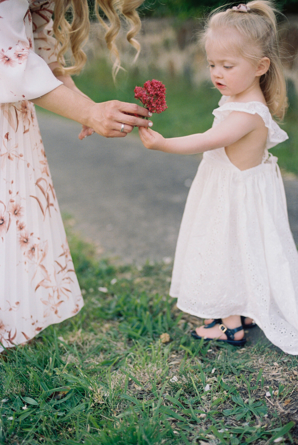 Melbourne-Natural-Maternity-Photography-Rachel-Breier-1