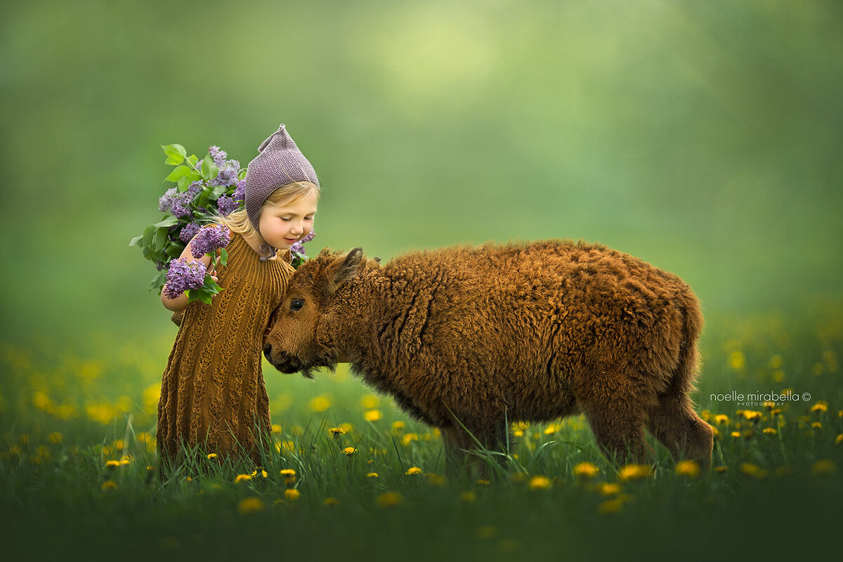 Girl in rust knit dress hugging baby bison.