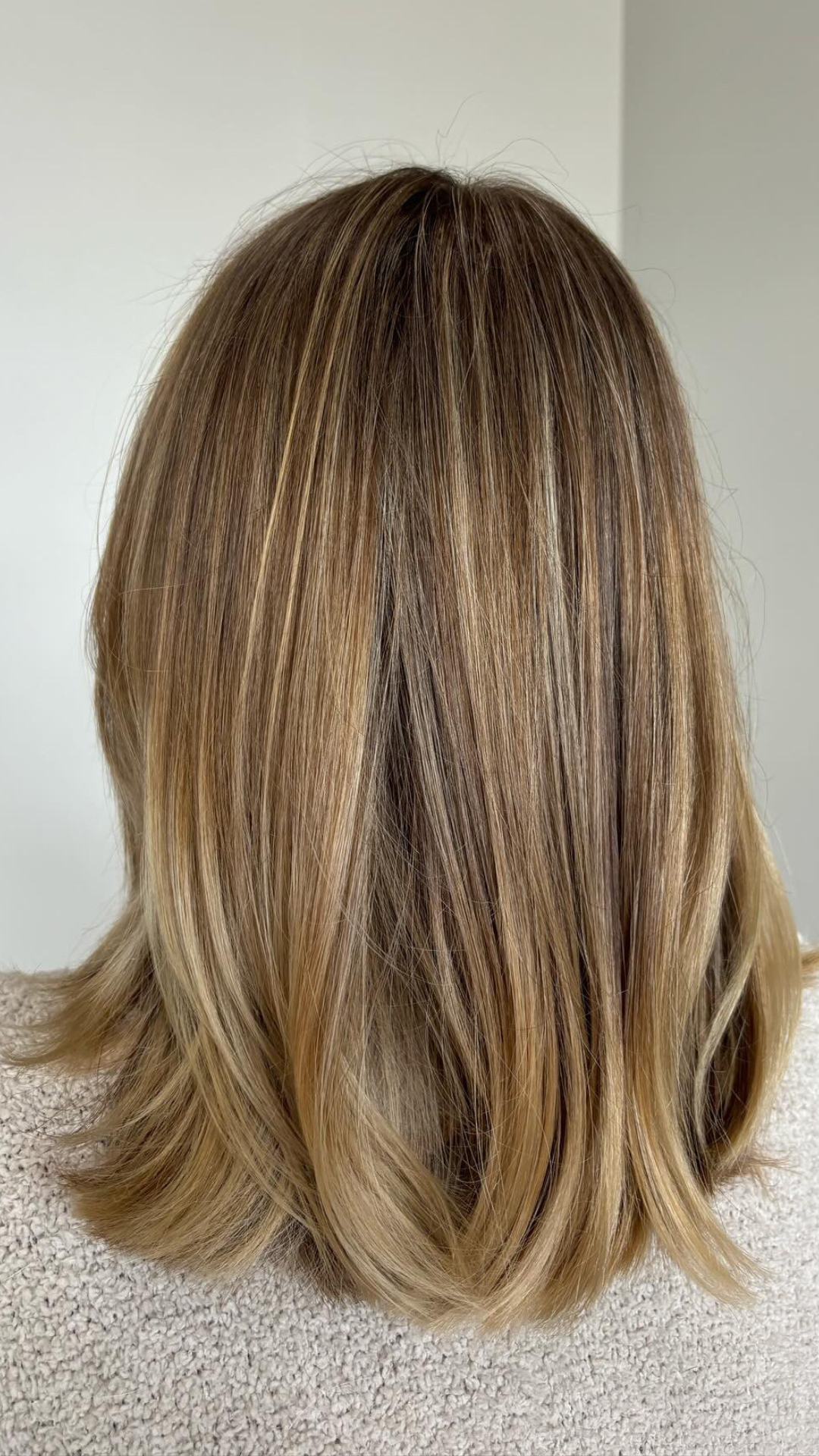palm harbor hair salon