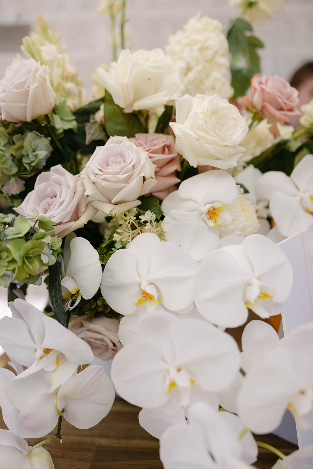 Rach and Max x Ash Haase Photography-588