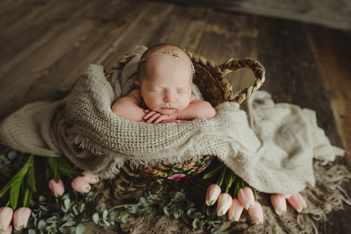 Grey Bruce County Newborn Photographer 05