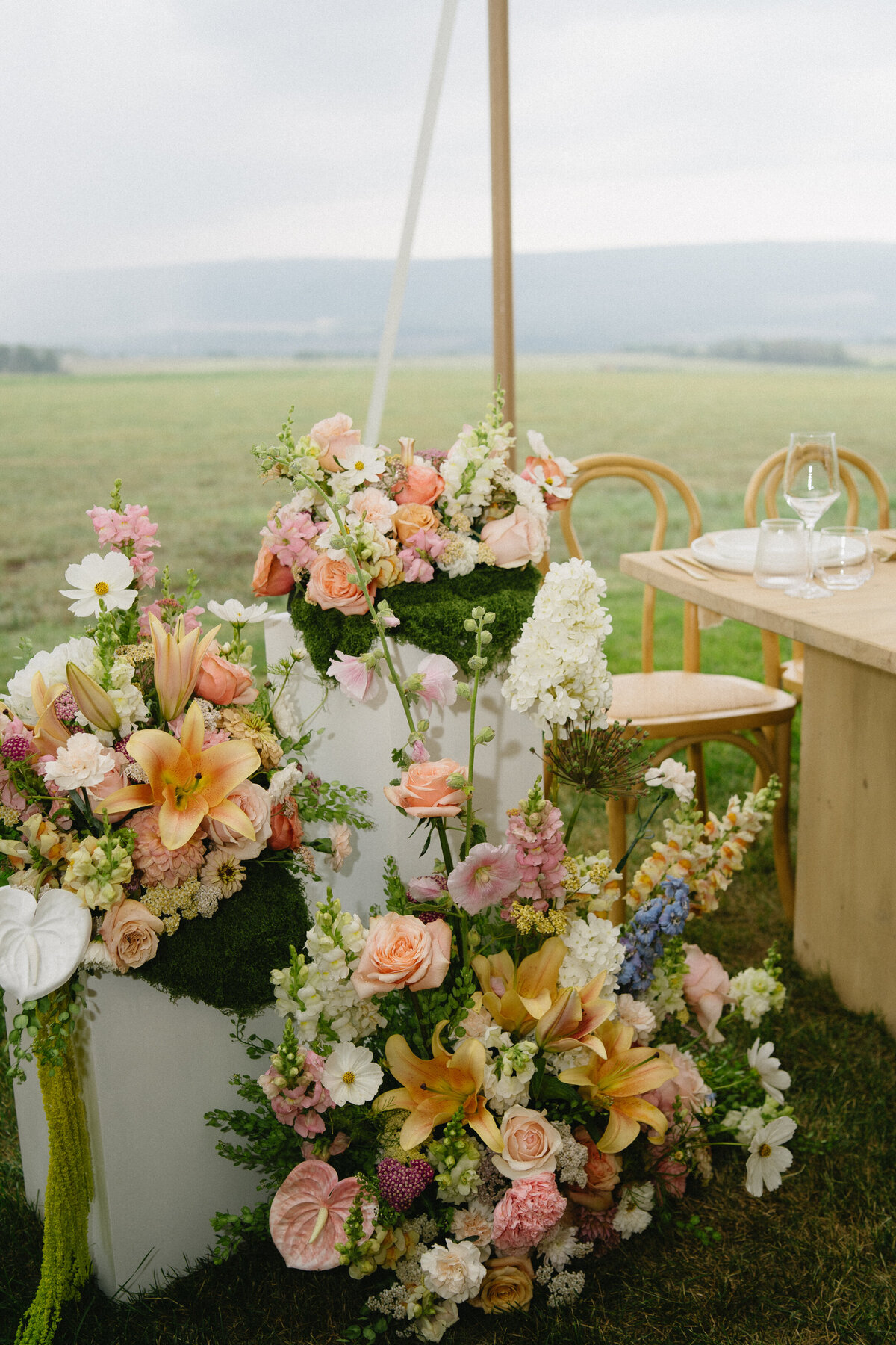 TyraEPhotographyandFilmWeddingphotographer,TyraEPhotographyandFilmWeddingvideographer,BCTyraEPhotographyandFilmWeddingPhotographer,BCTyraEPhotographyandFilmWeddingVideographer,AlbertaTyraEPhotographyandFilmWedding-09755