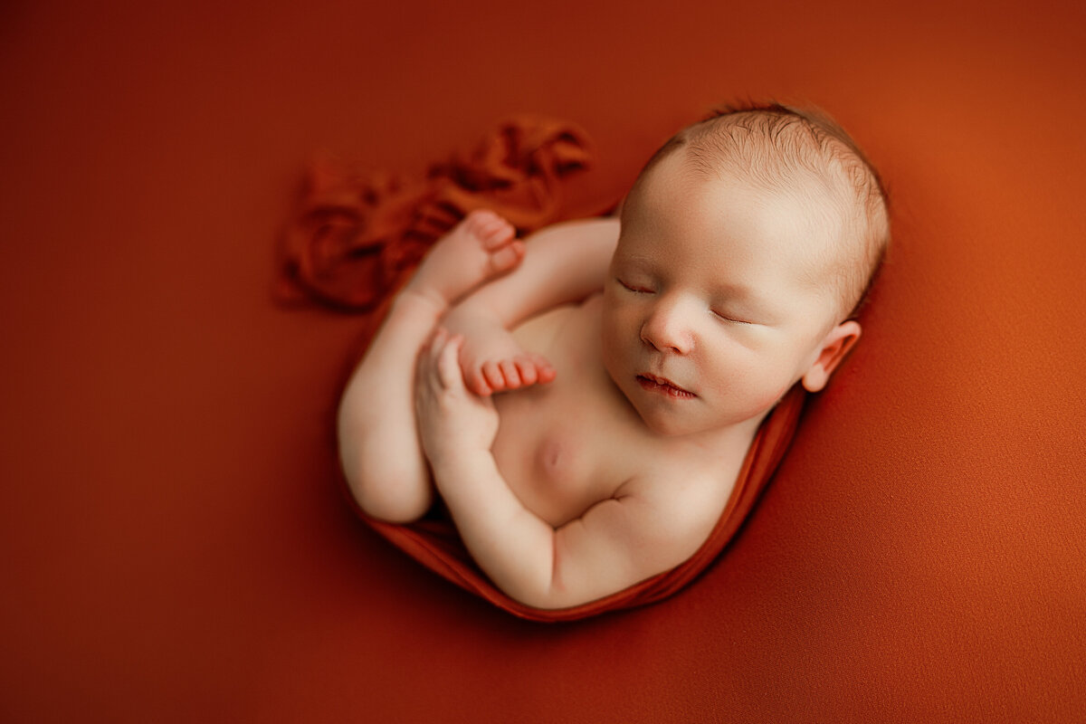 newborn photography north al