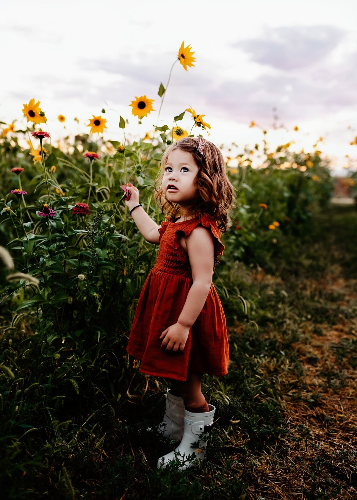 toddler girl playing in a sunflower field in windsor, colorado