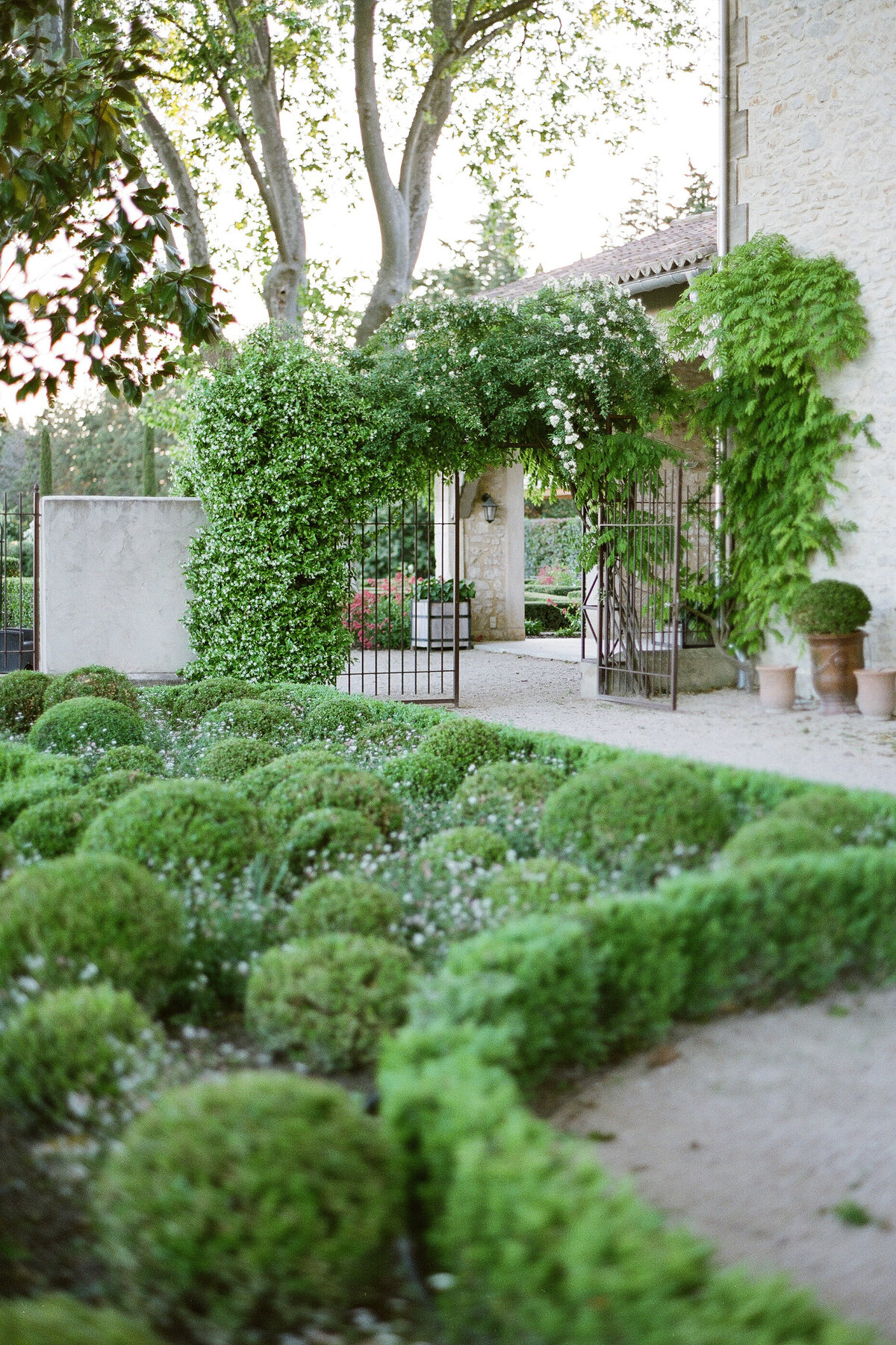 Anna_Grinets_Photography_Provence_wedding_Clos_Saint_Estève_007