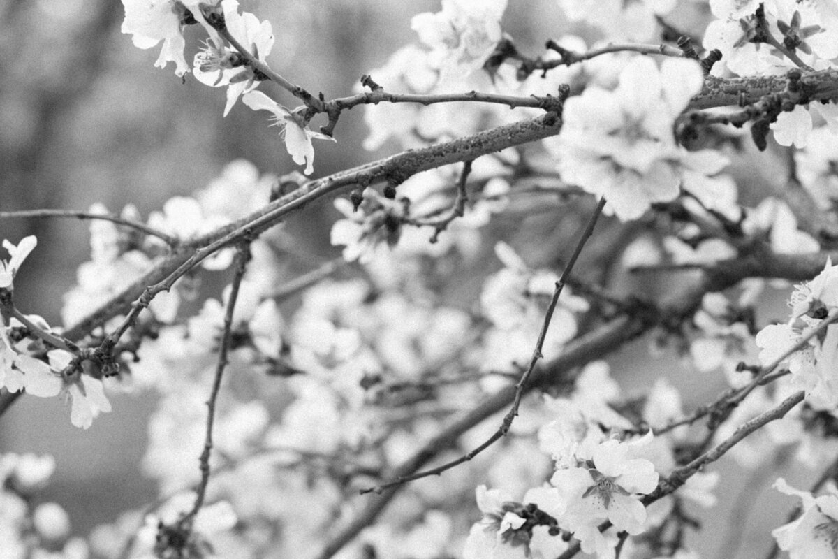 Poetryandlight-31