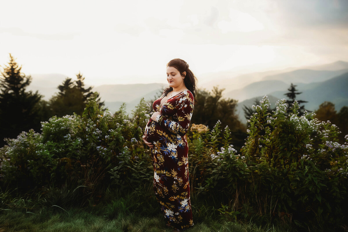 Expectant mother poses for Maternity Portraits on the Blue Ridge Parkway  in Asheville. NC.