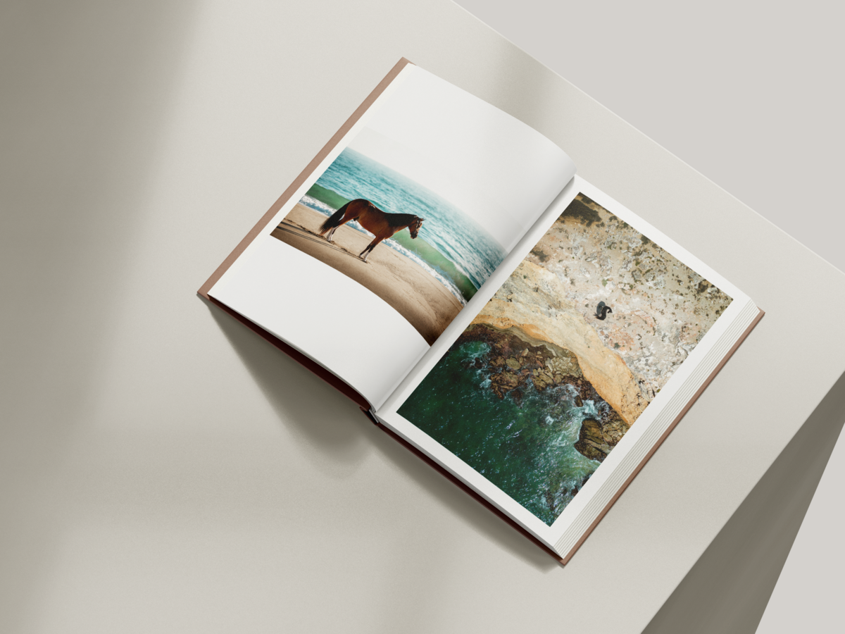 Free_Book_Mockup_5