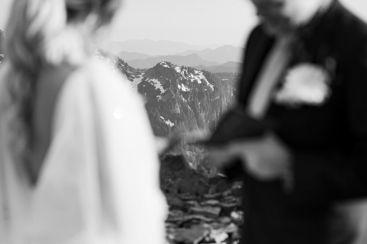 Tasha&Dennis-MtRainier-Elopement-VenturetoElope-220