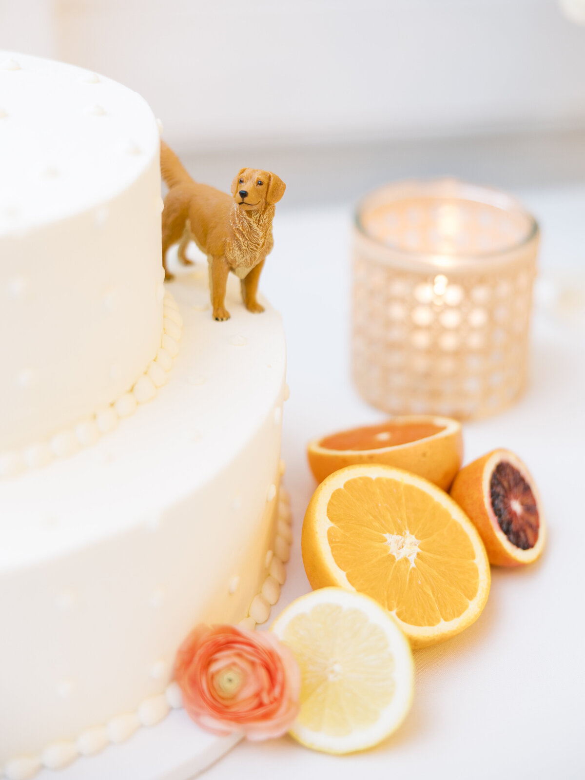 McKenzie&Sean-328