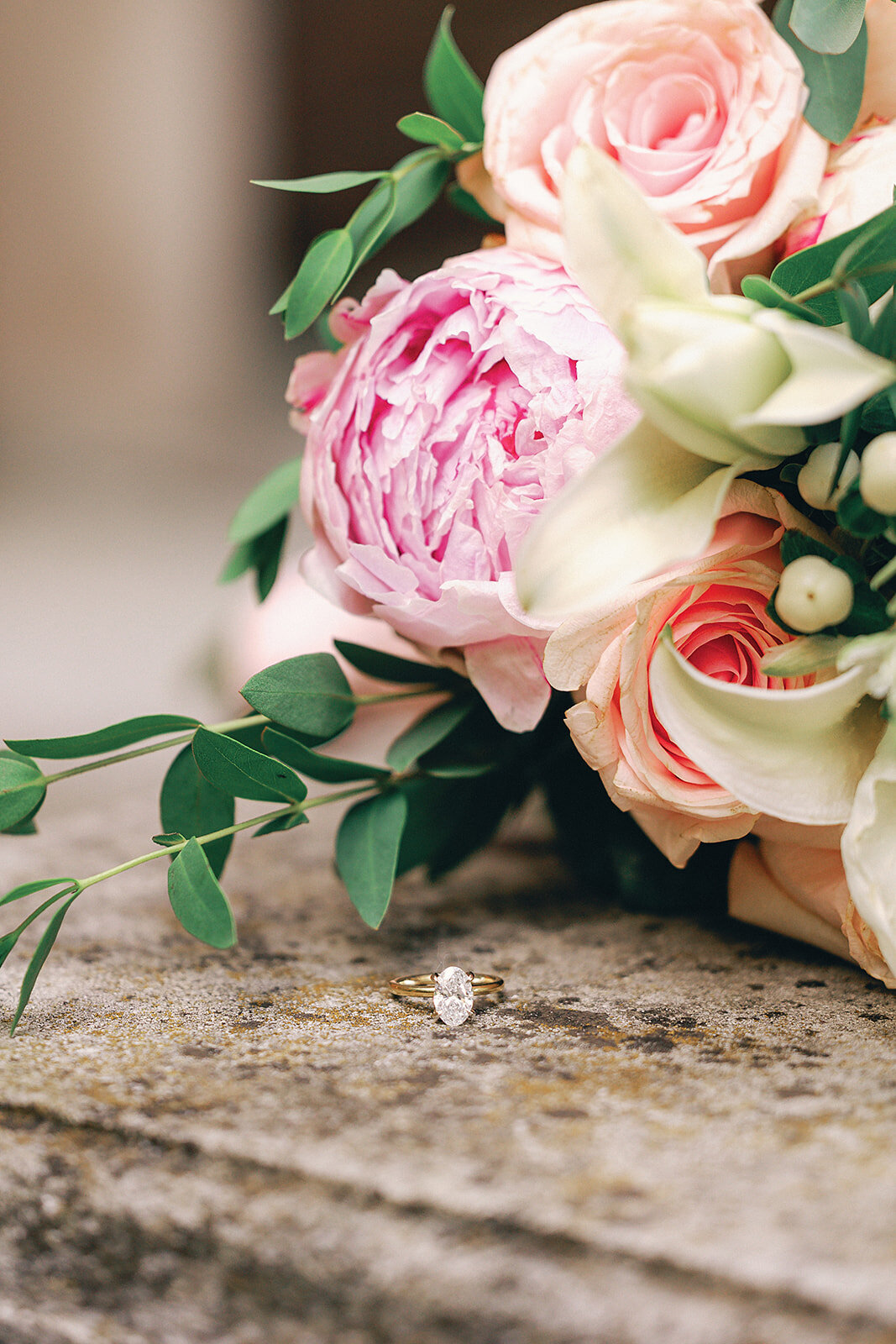 Grosse-Pointe-Engagement-Elise-Filliccia-Photography-149