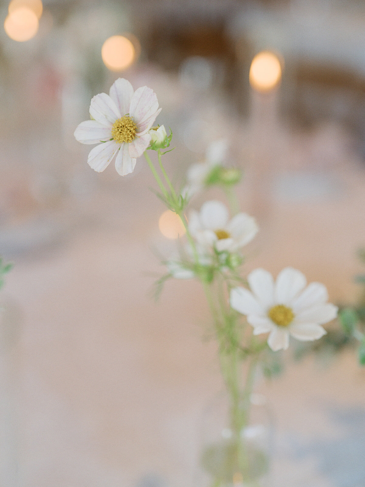 Lauren & Mac Reception Details-72