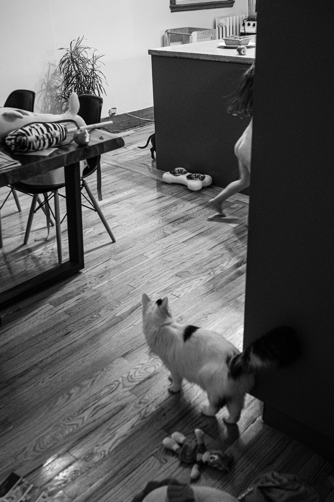 best-family-photographer-kirsten-lewis-2025006