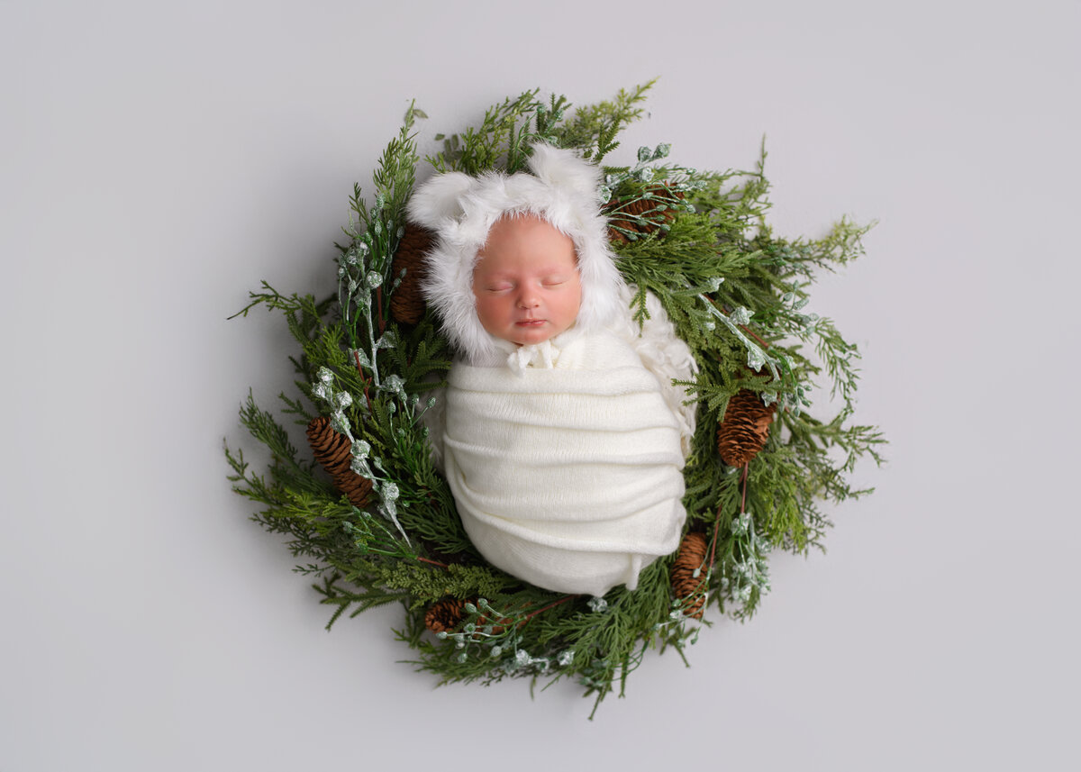 Newborn Portrait Wallingford CT