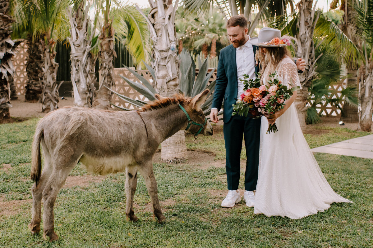 Cabo-San-Lucas-Wedding-Photographer-15