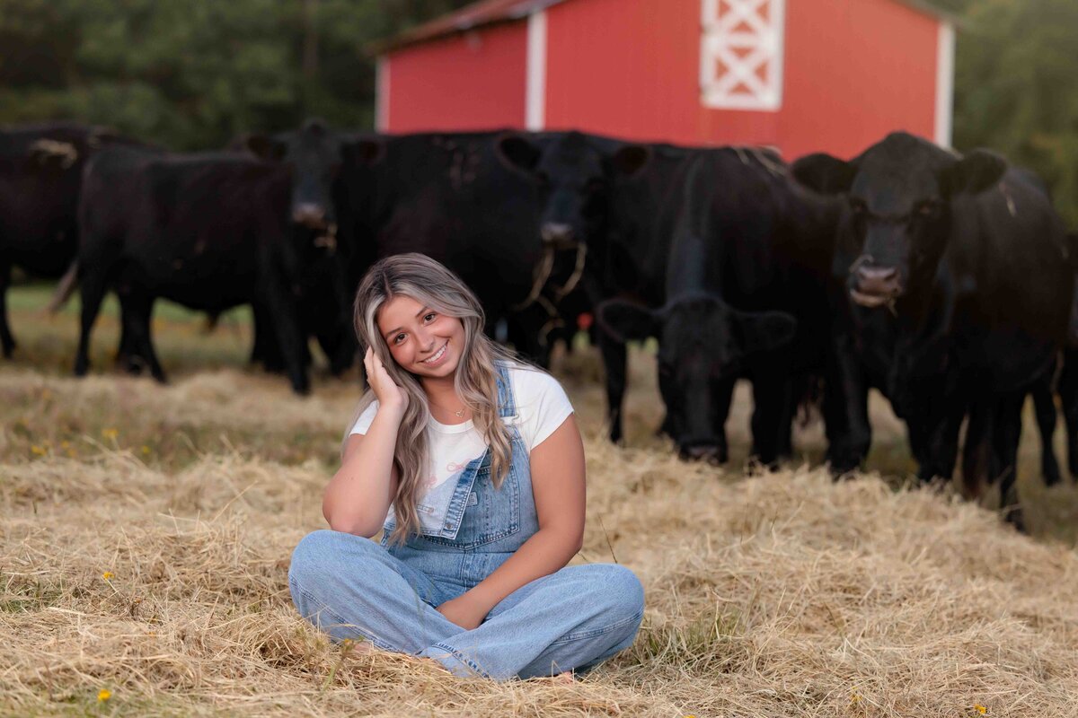Raleigh high school senior portraits with cows on a farm.