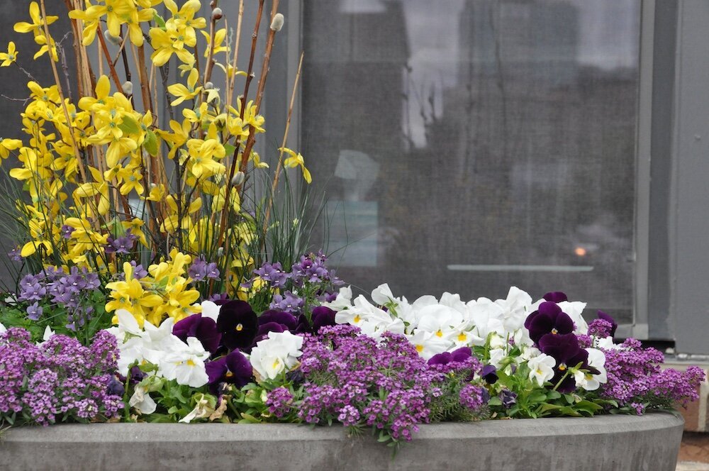 Commercial landscape company project in Kansas City: seasonal flowers showcase