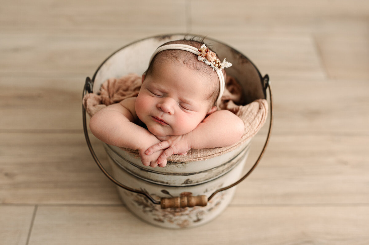 Newborn session in studio posed