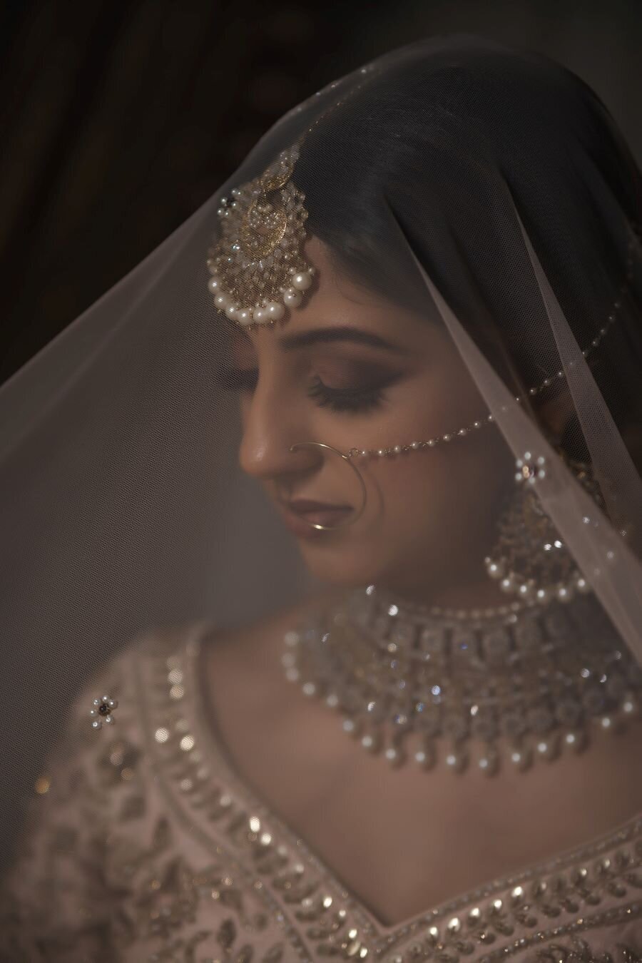 Elegant Indian wedding makeup in Ottawa, complete with shimmering lids and deep maroon lips accentuating her features.