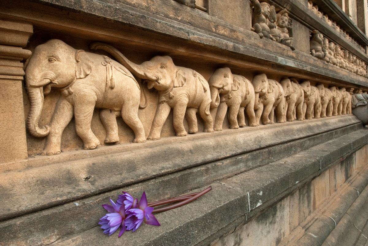 Kalaniya Temple - Sri Lanka 31-1-1*