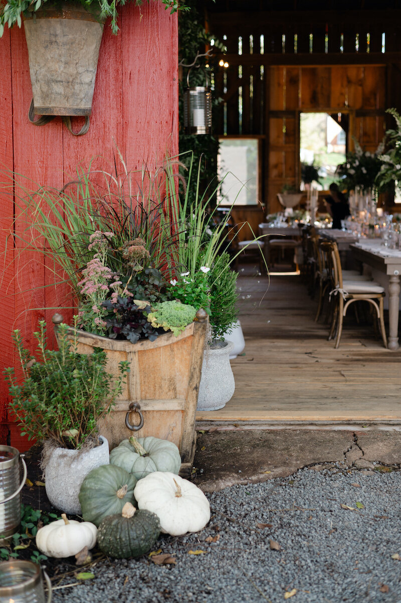 finer-points-coastal-Melrose-Farm-waterford-wedding00033